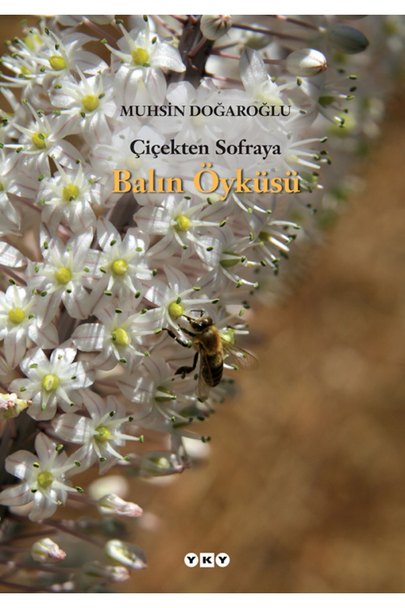 Çiçekten Sofraya Balın Öyküsü