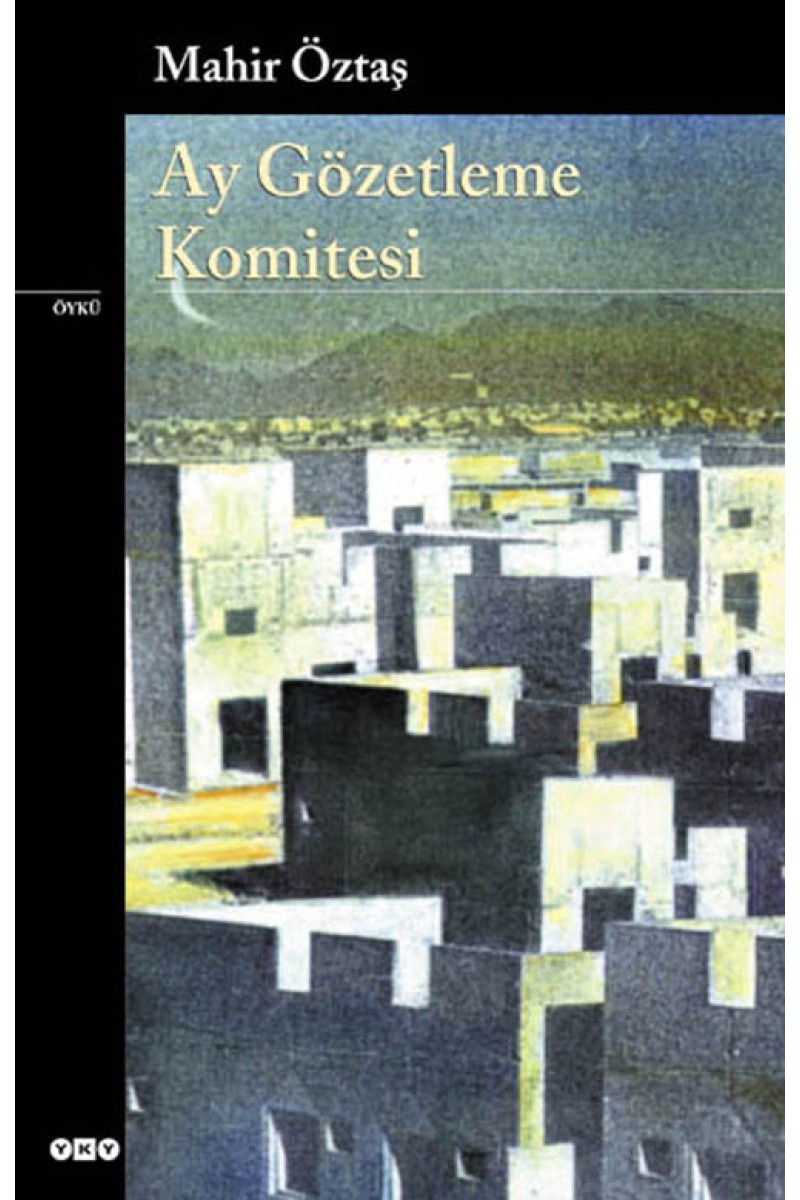 Ay Gözetleme Komitesi