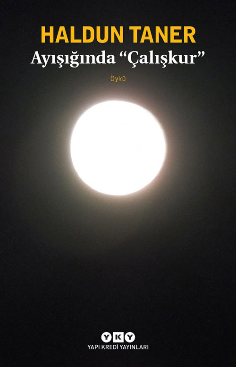 Ayışığında "Çalışkur"