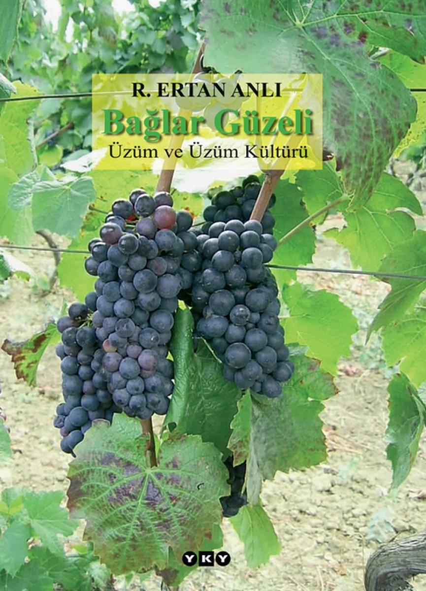 Bağlar Güzeli: Üzüm ve Üzüm Kültürü