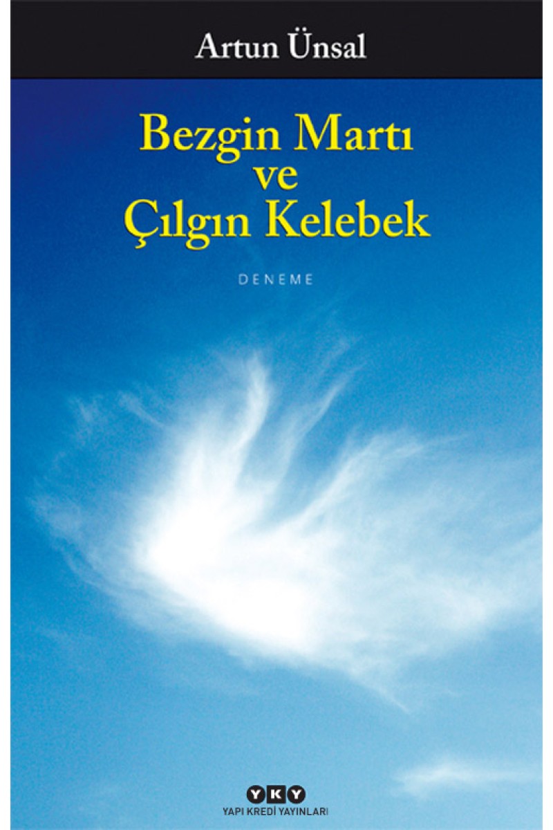 Bezgin Martı ve Çılgın Kelebek