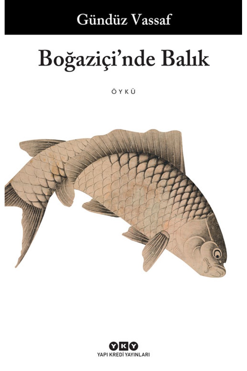 Boğaziçi’nde Balık