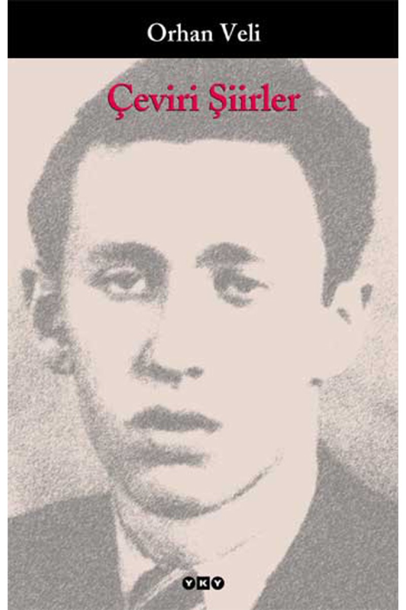Çeviri Şiirler