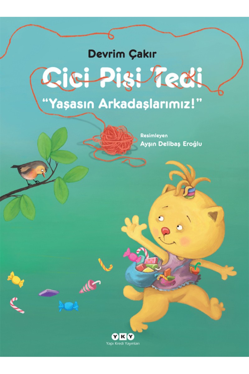 Cici Pisi Tedi