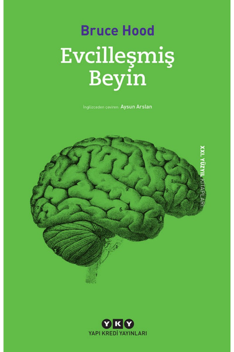 Evcilleşmiş Beyin