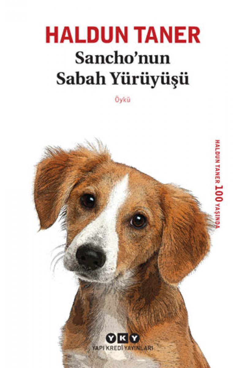 Sancho’nun Sabah Yürüyüşü