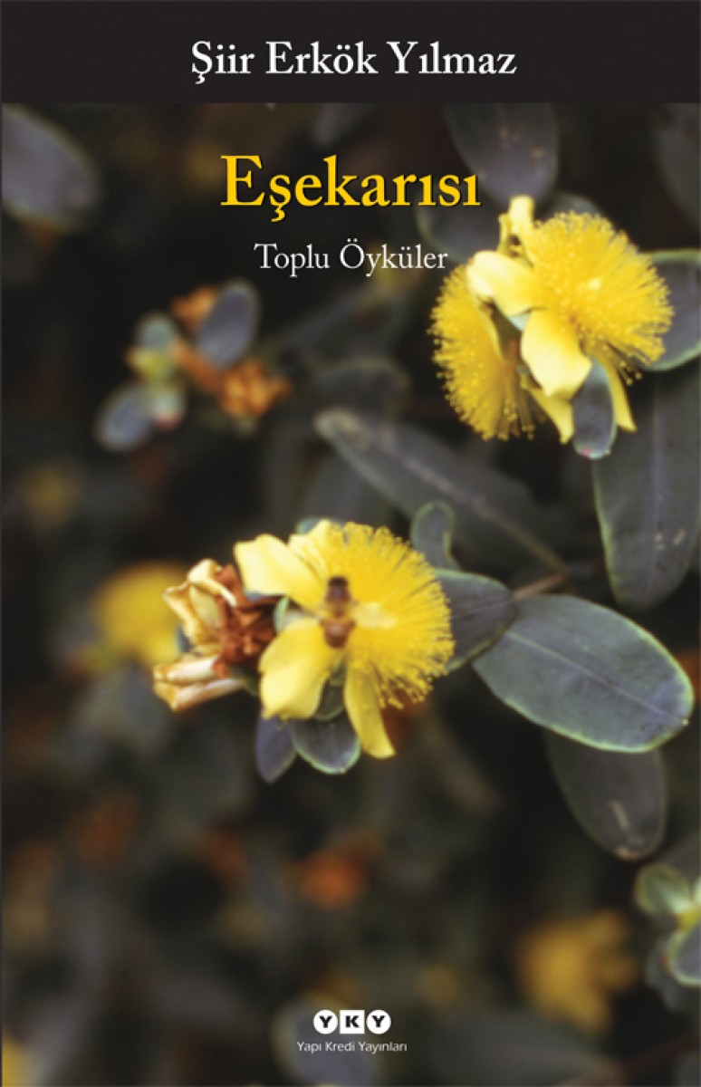 Eşekarısı - Toplu Öyküler Eşekarısı - Toplu Öyküler