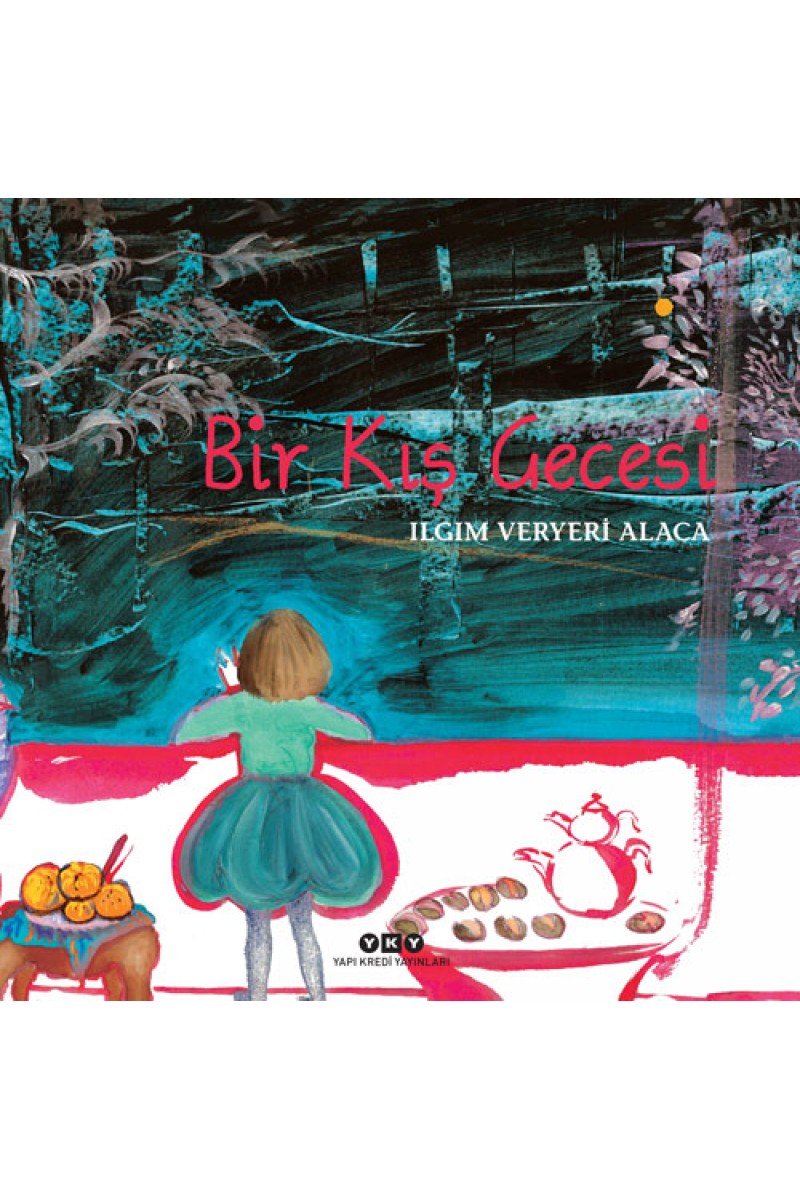 Bir Kış Gecesi