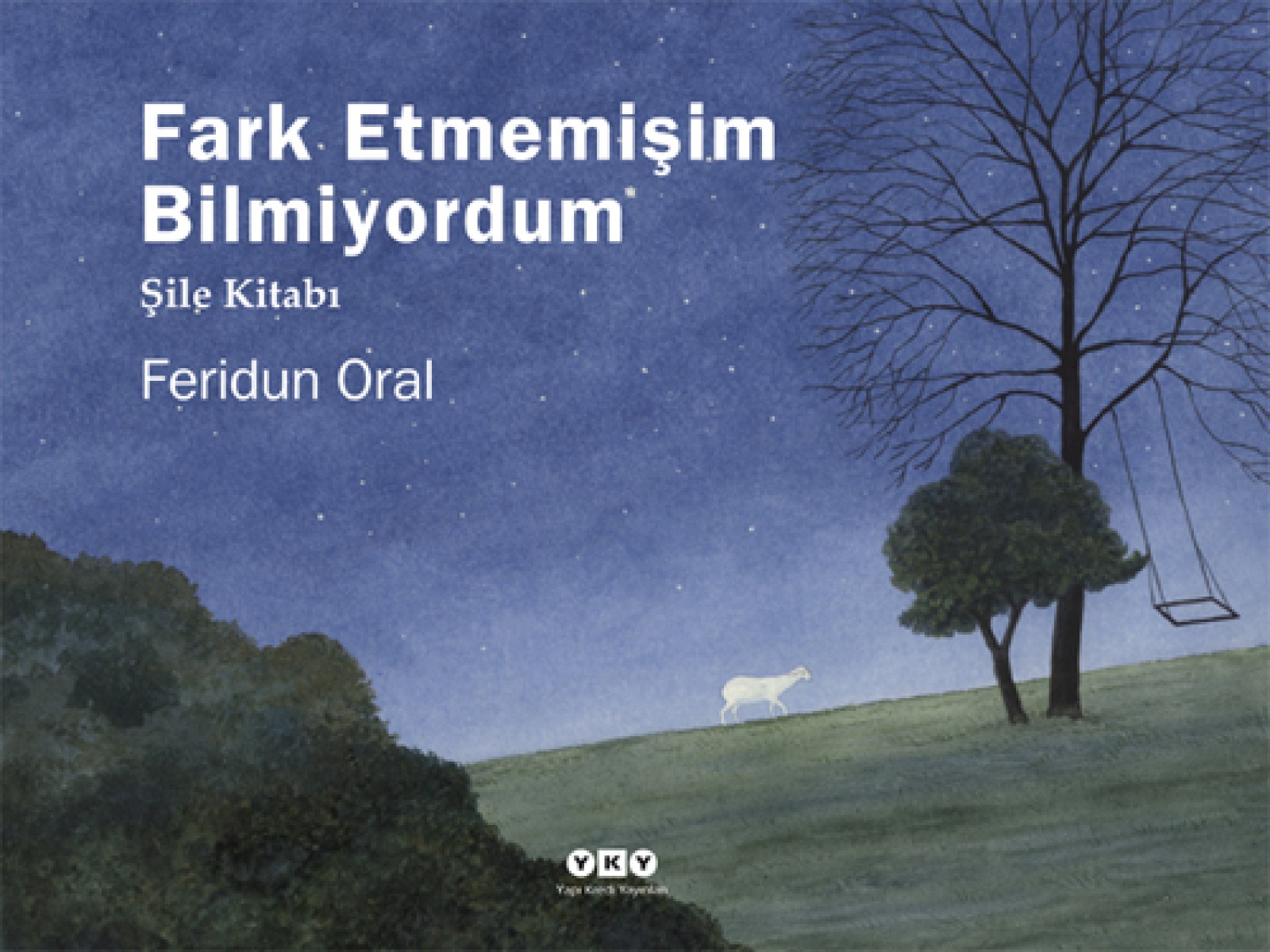 Fark Etmemişim Bilmiyordum - Şile Kitabı