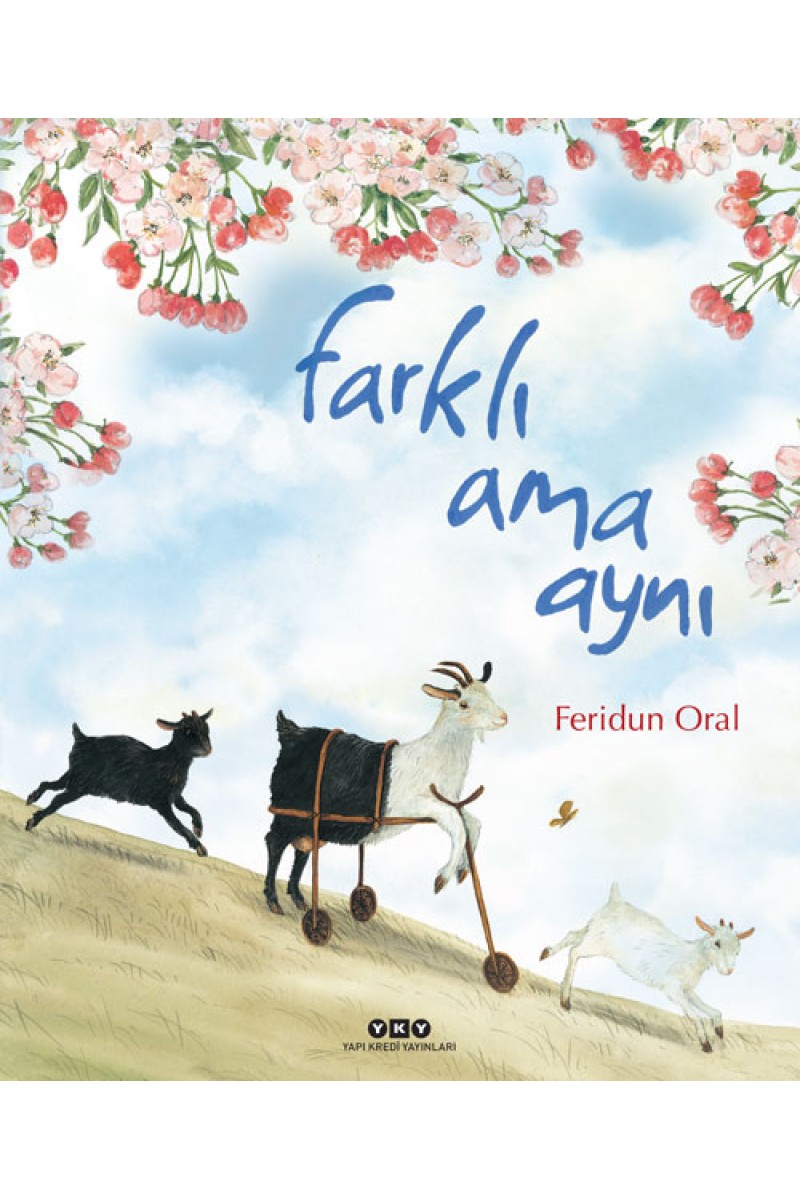 Farklı Ama Aynı (Karton Kapak)