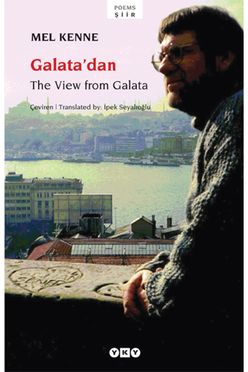 The View from Galata / Galatadan