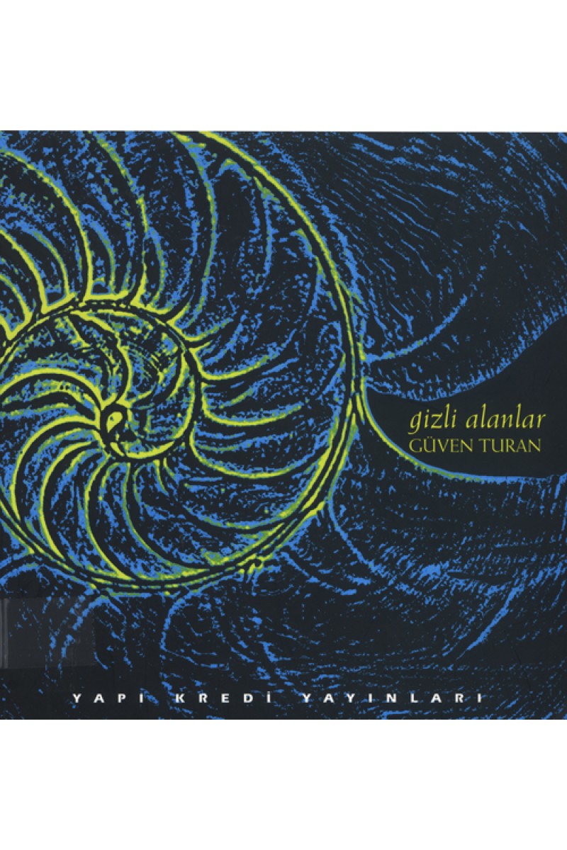 Gizli Alanlar