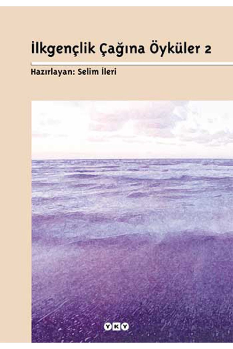 İlkgençlik Çağına Öyküler 2