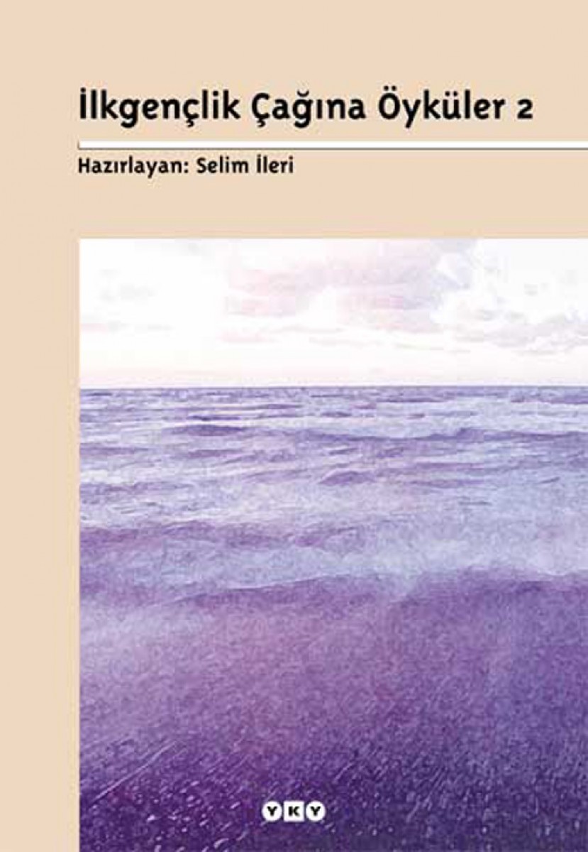 İlkgençlik Çağına Öyküler 2