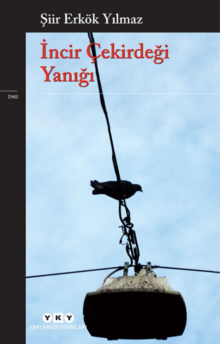 İncir Çekirdeği Yanığı İncir Çekirdeği Yanığı