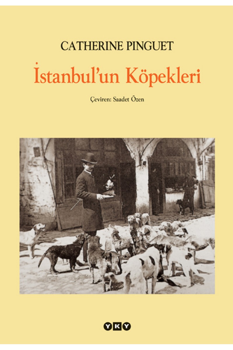 İstanbul’un Köpekleri