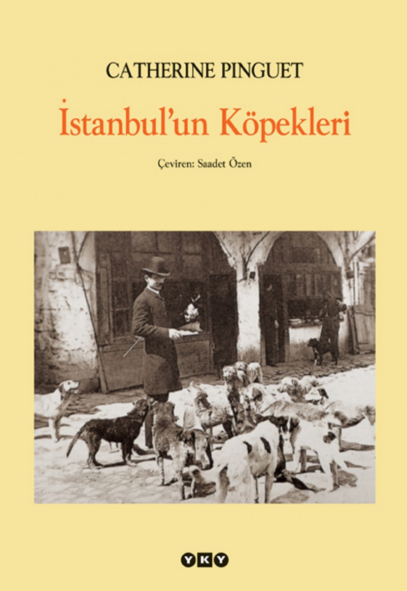 İstanbul’un Köpekleri