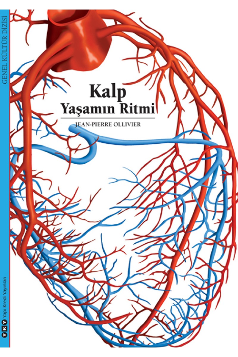Kalp - Yaşamın Ritmi