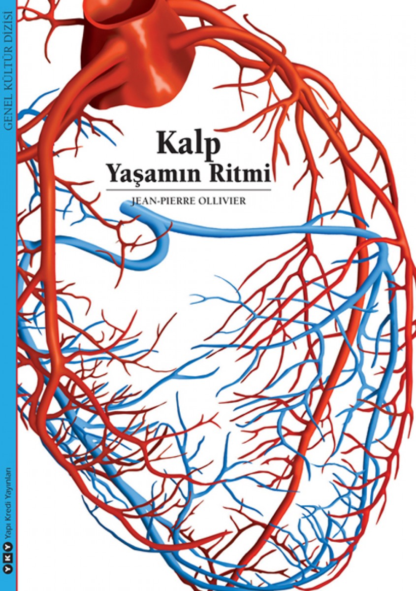 Kalp - Yaşamın Ritmi