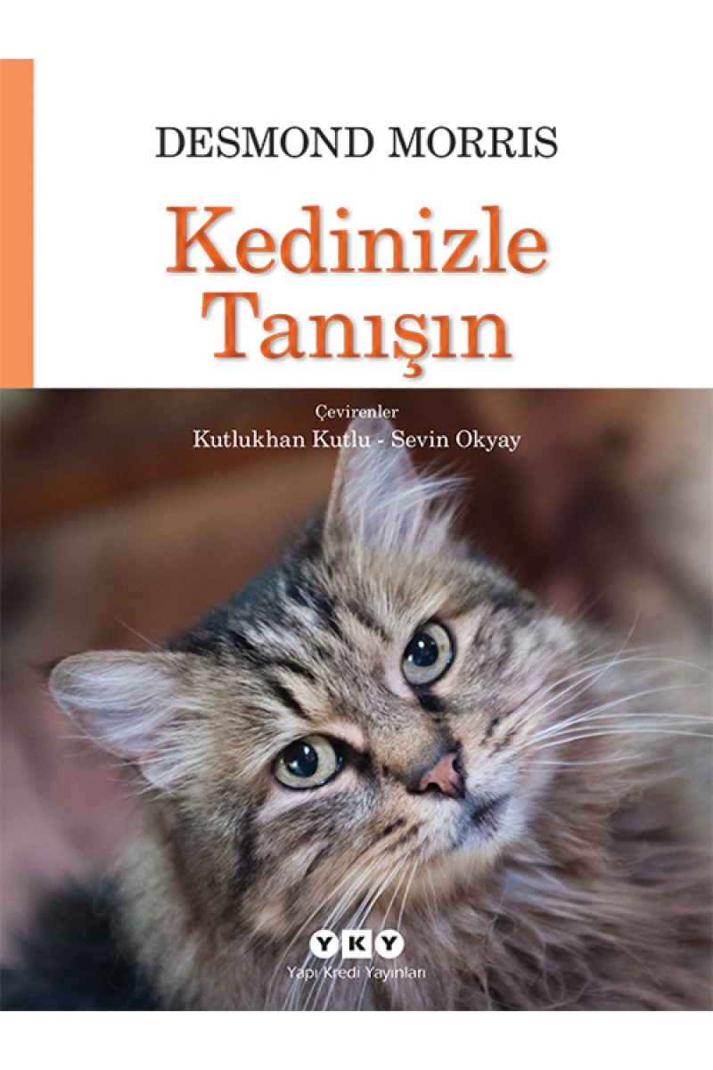 Kedinizle Tanışın