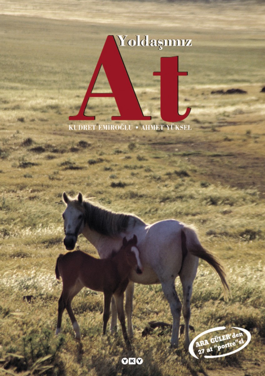 Yoldaşımız At