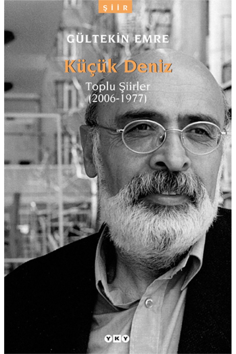 Küçük Deniz - Toplu Şiirler (2006-1977)