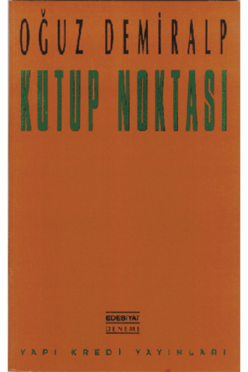 Kutup Noktası