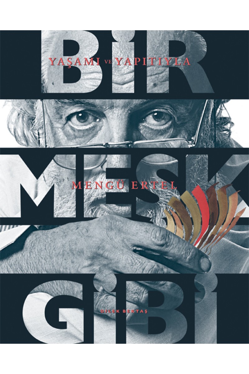 Bir Meşk - Gibi Yaşamı ve Yapıtıyla Mengü Ertel