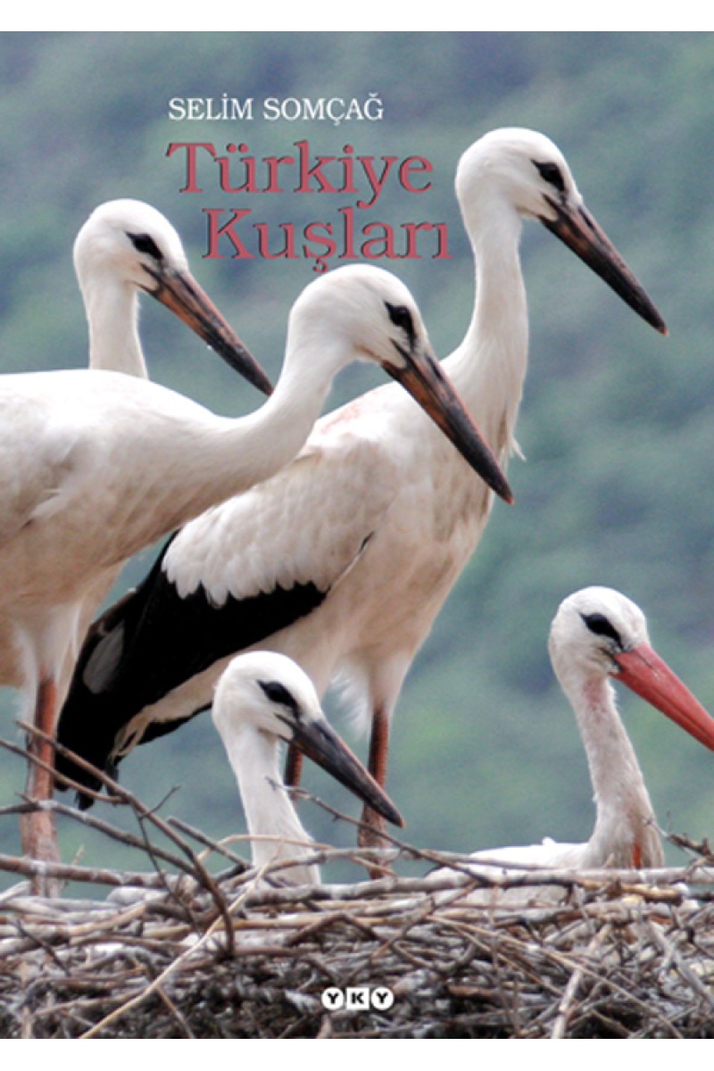 Türkiye Kuşları