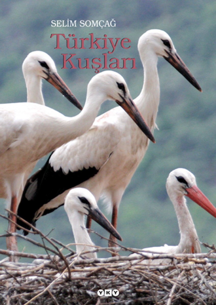Türkiye Kuşları