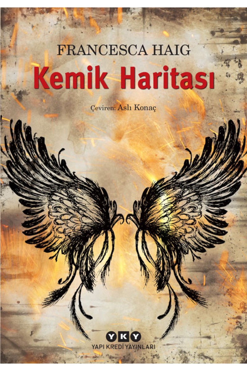 Kemik Haritası