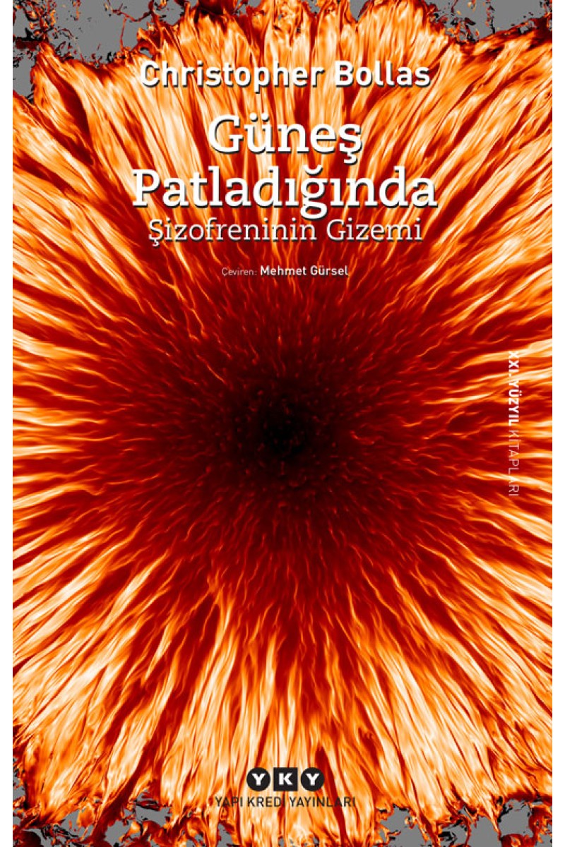 Güneş Patladığında - Şizofreninin Gizemi