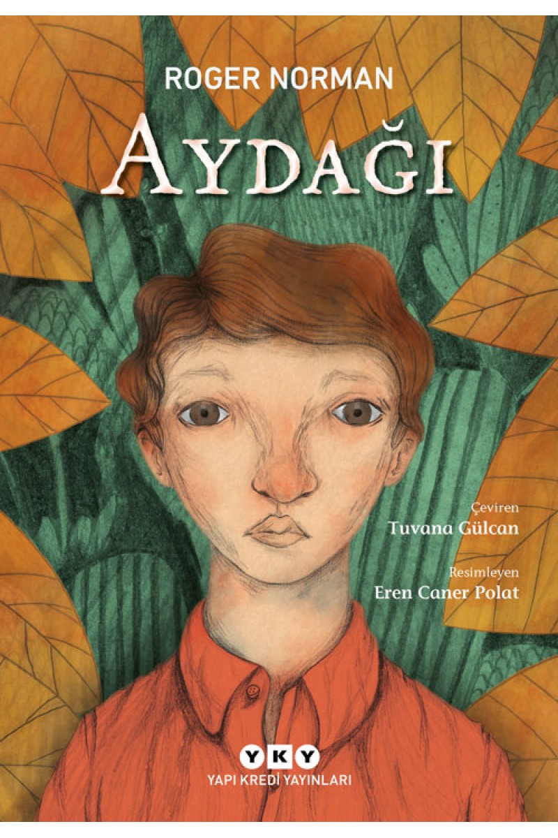 Aydağı