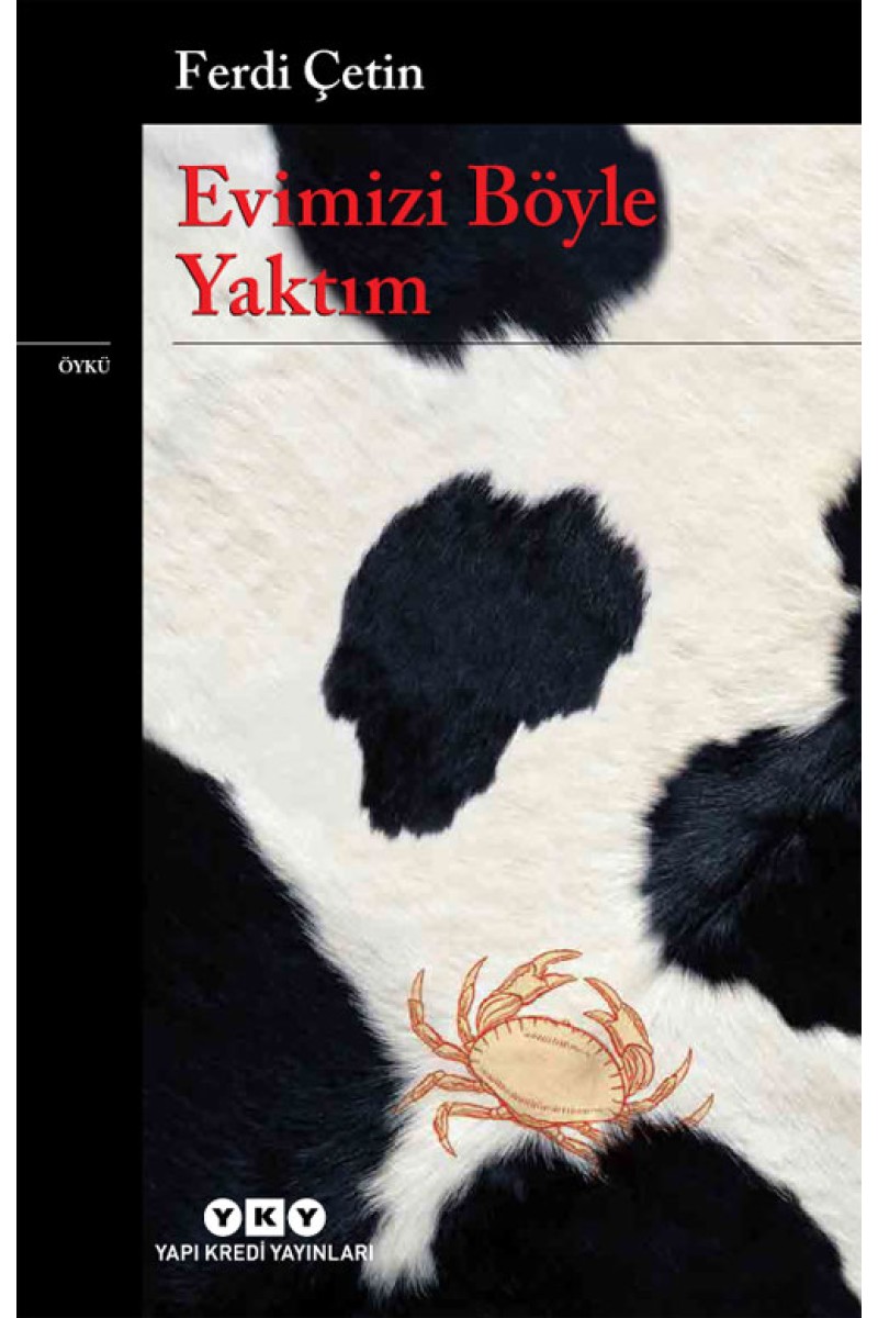 Evimizi Böyle Yaktım