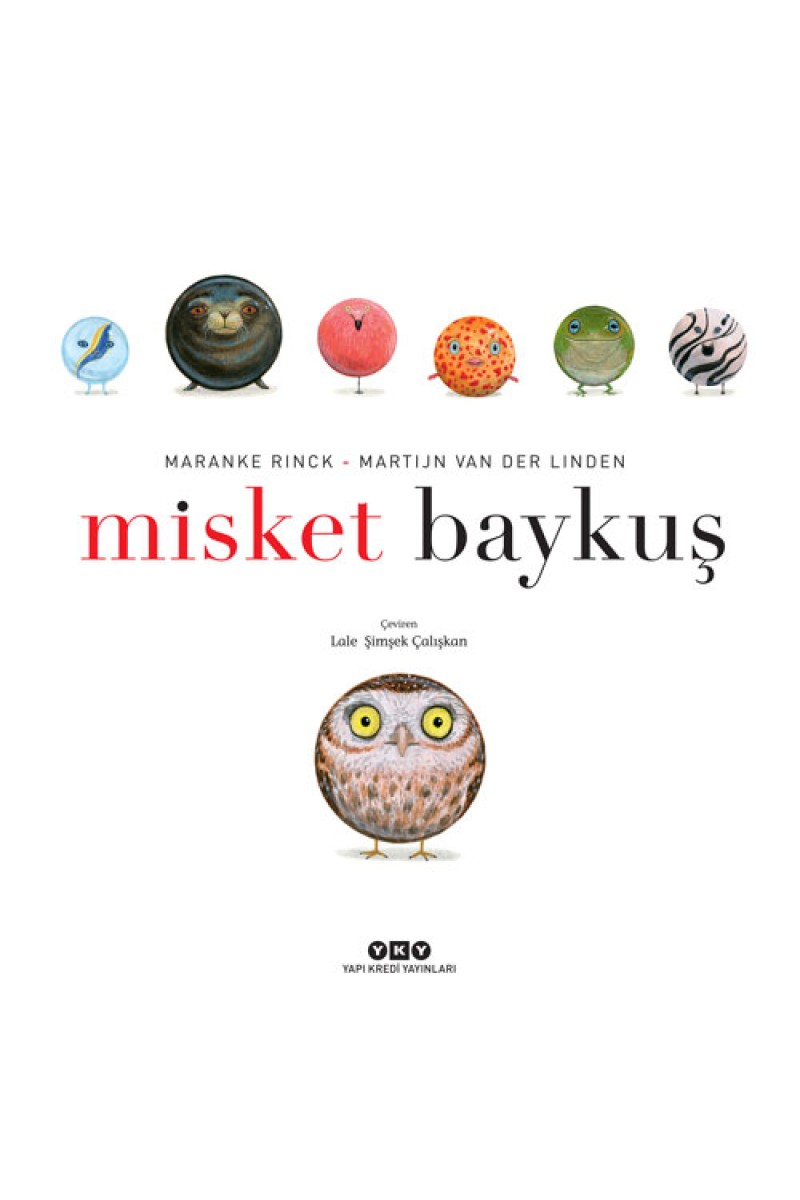 Misket Baykuş