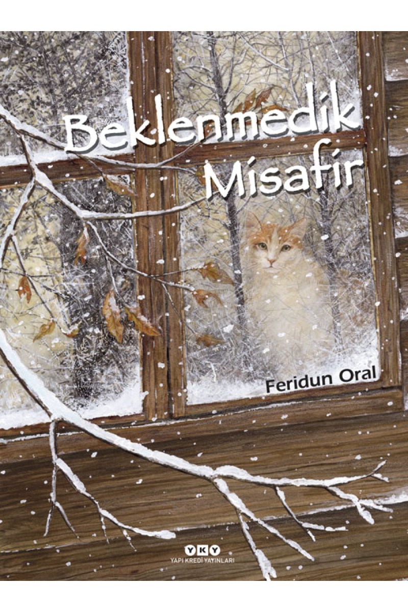 Beklenmedik Misafir