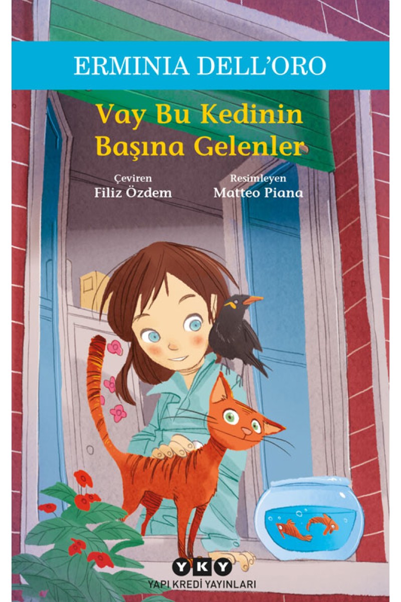 Vay Bu Kedinin Başına Gelenler