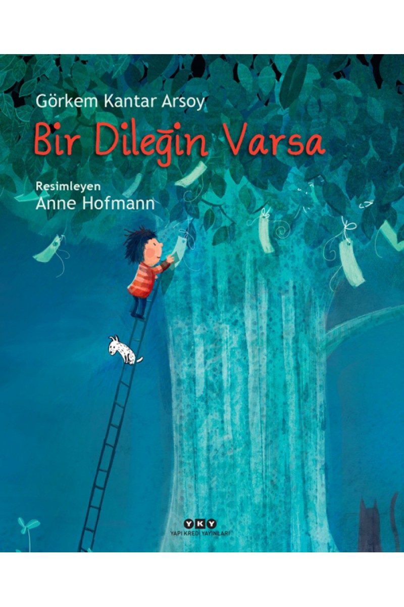 Bir Dileğin Varsa (Karton Kapak)