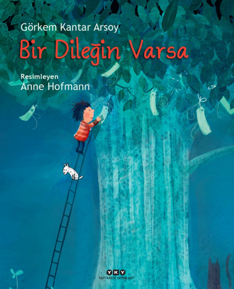 Bir Dileğin Varsa (Karton Kapak)
