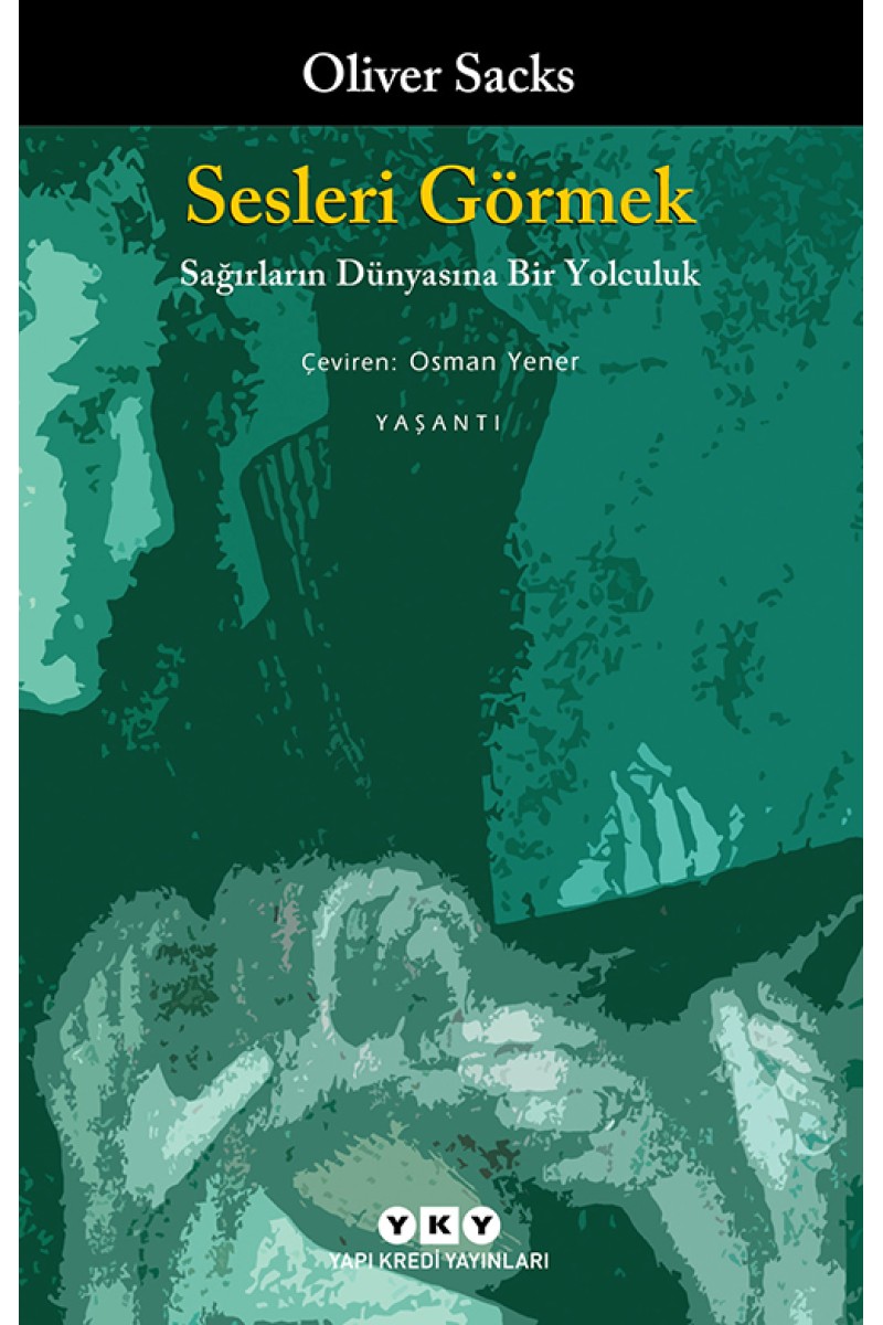 Sesleri Görmek