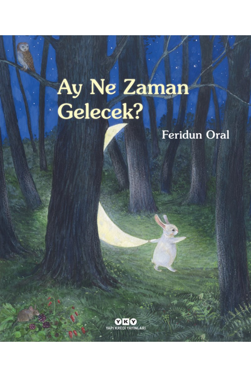 Ay Ne Zaman Gelecek? (Karton Kapak)
