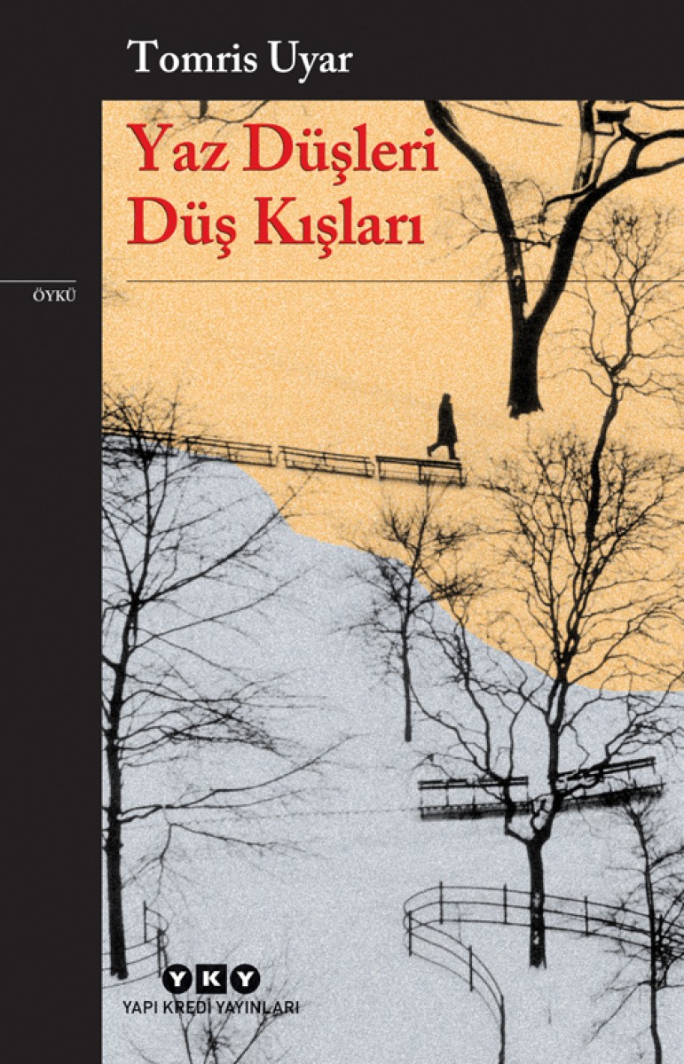 Yaz Düşleri Düş Kışları