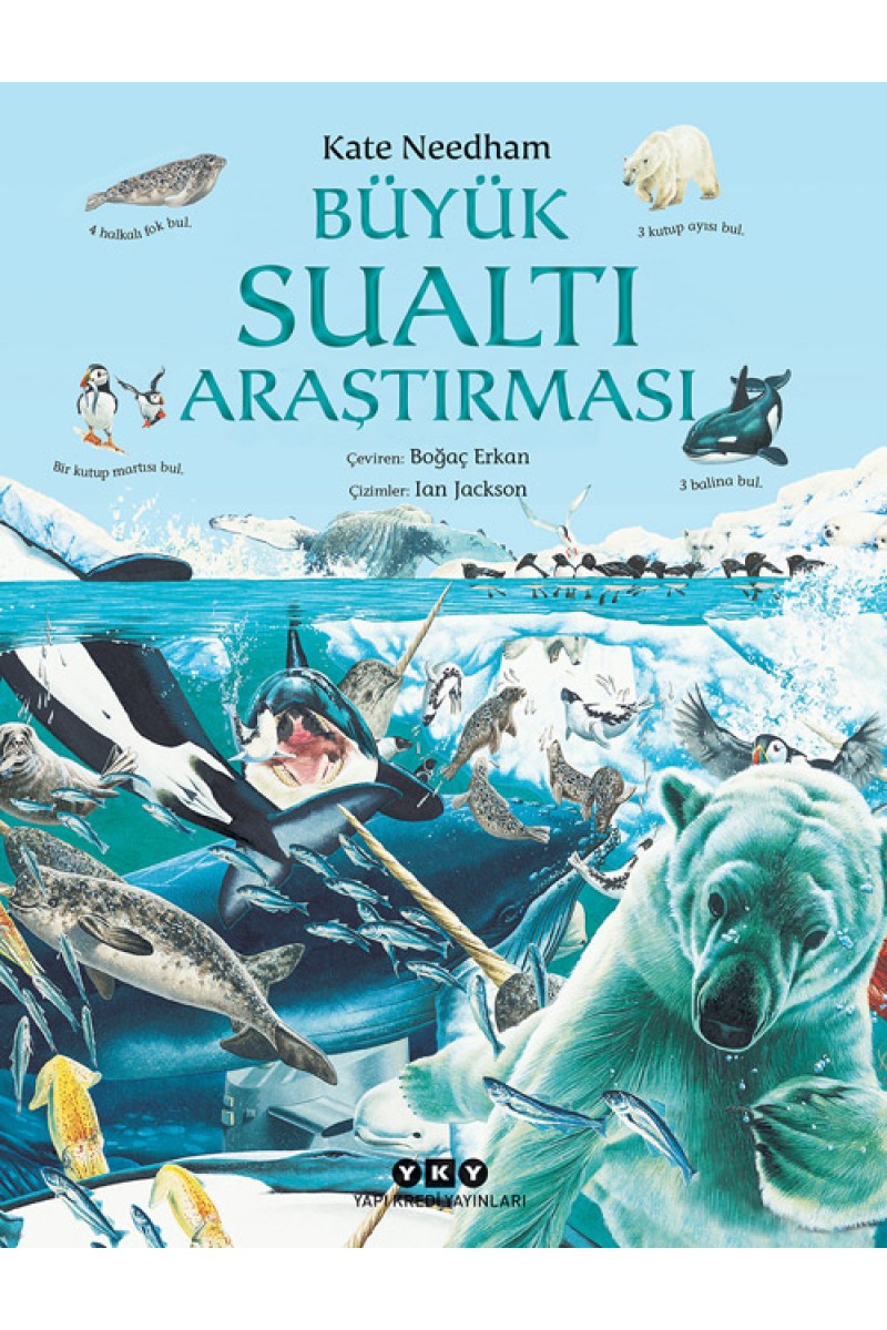 Büyük Sualtı Araştırması