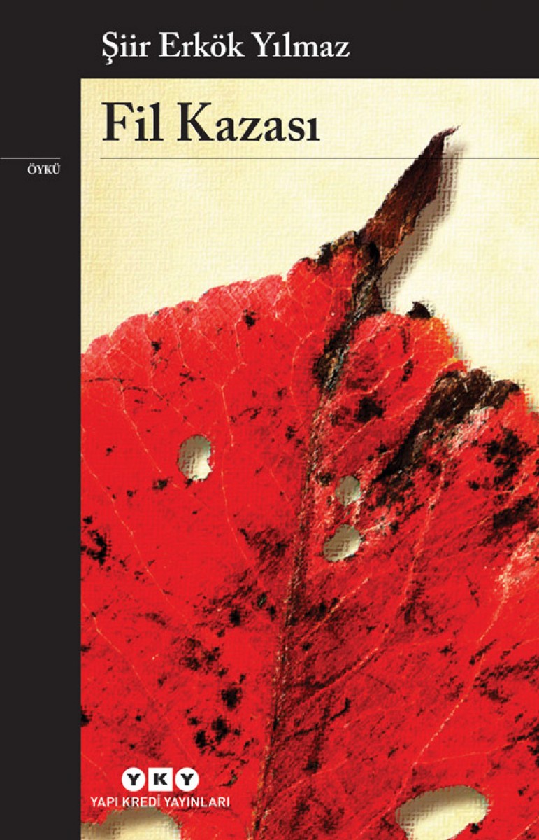 Fil Kazası Fil Kazası