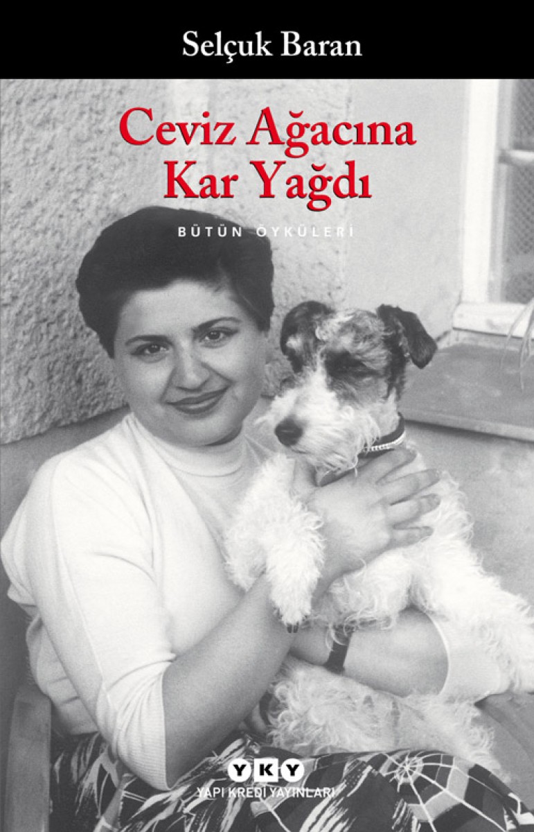 Ceviz Ağacına Kar Yağdı - Bütün Öyküleri