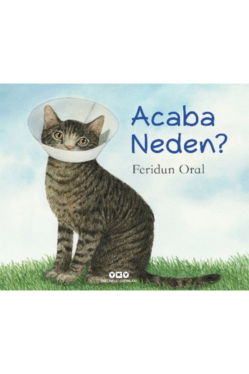 Acaba Neden?