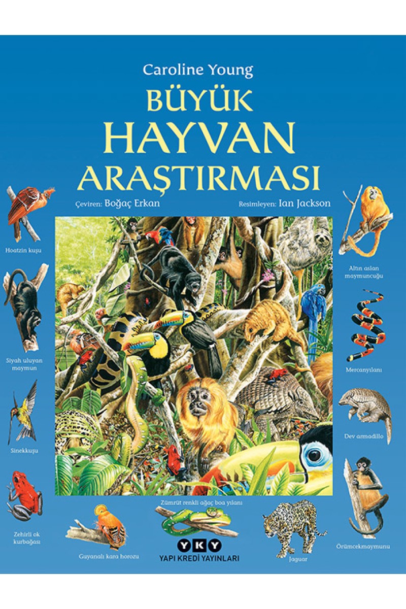 Büyük Hayvan Araştırması