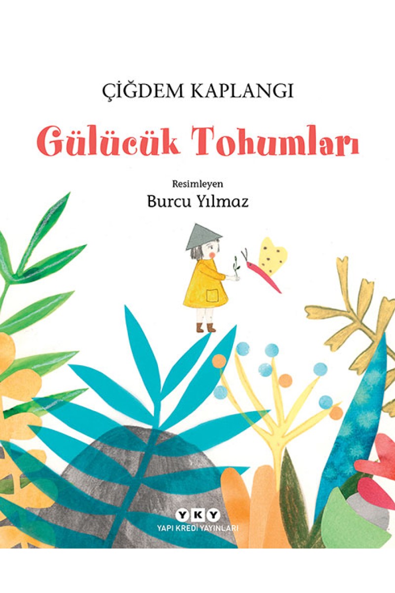 Gülücük Tohumları
