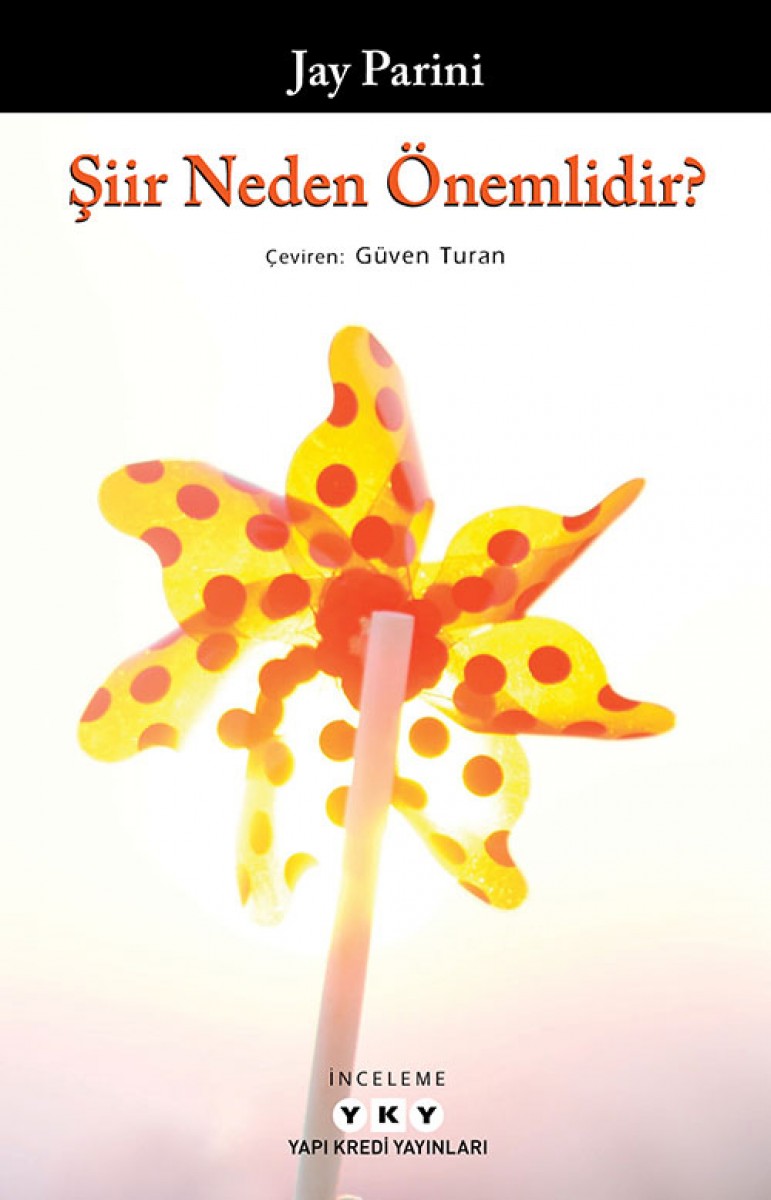 Şiir Neden Önemlidir?