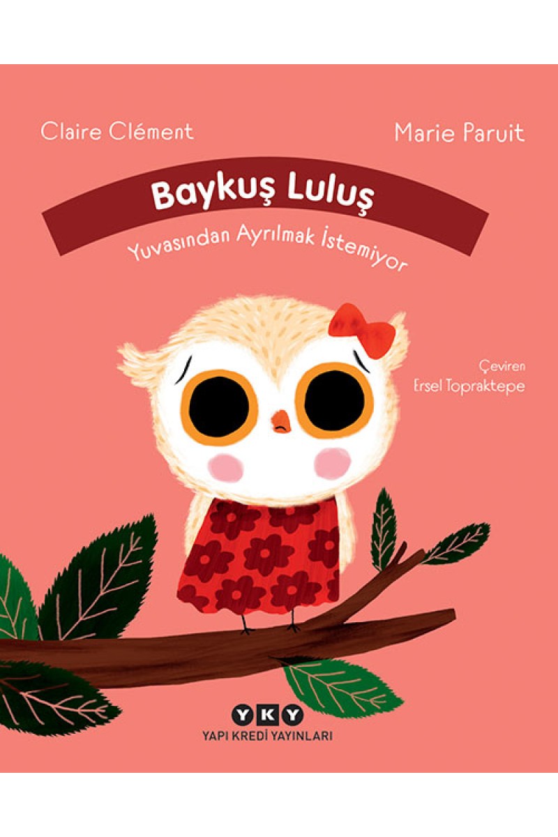 Baykuş Luluş Yuvasından Ayrılmak İstemiyor